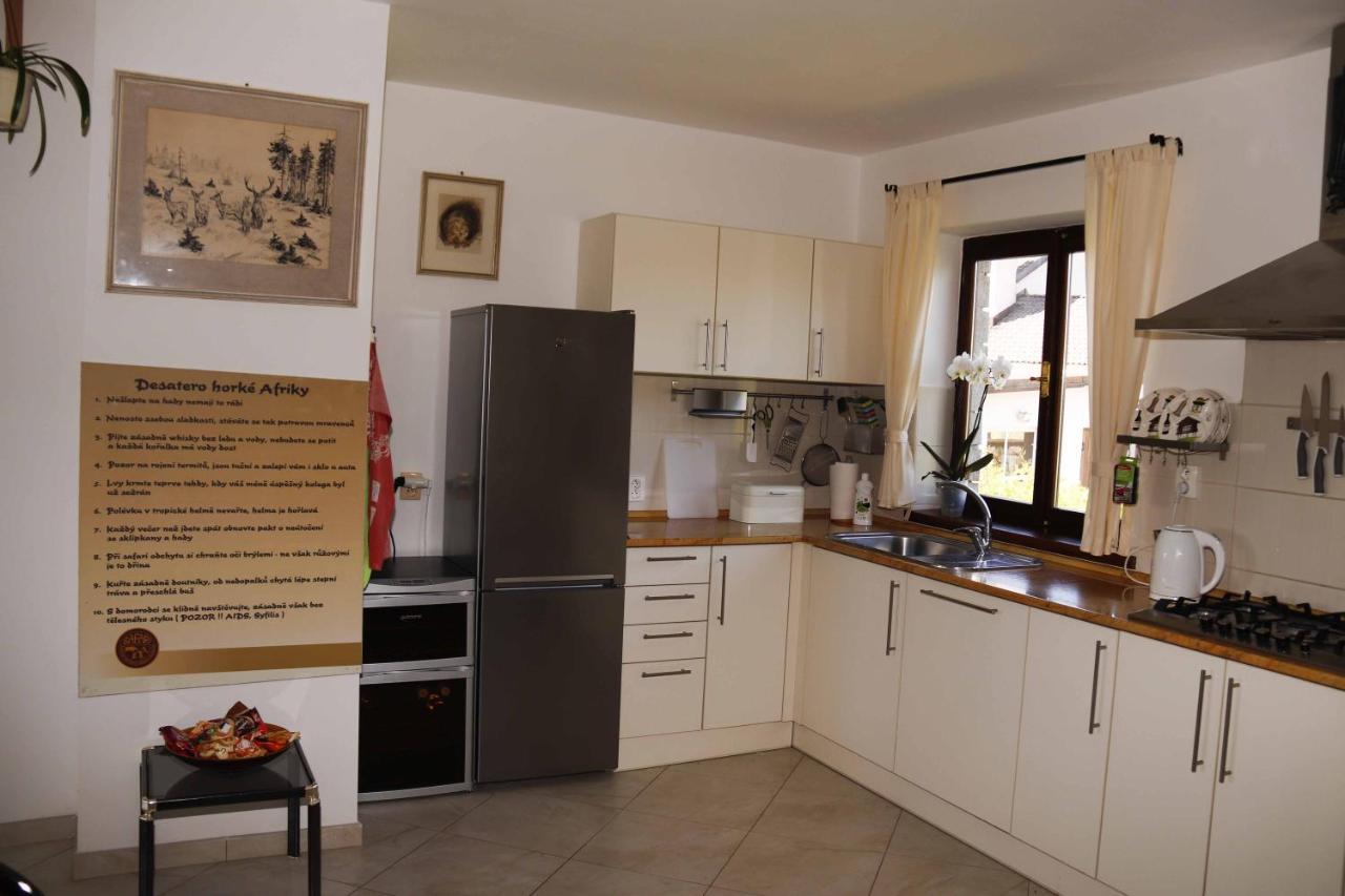 Apartman U Vagnera Dvůr Králové nad Labem 外观 照片