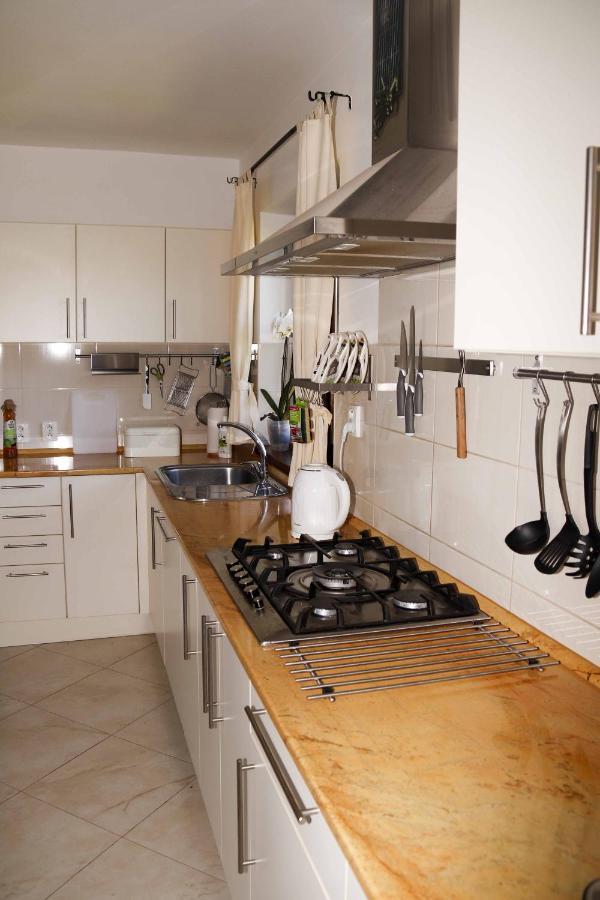 Apartman U Vagnera Dvůr Králové nad Labem 外观 照片